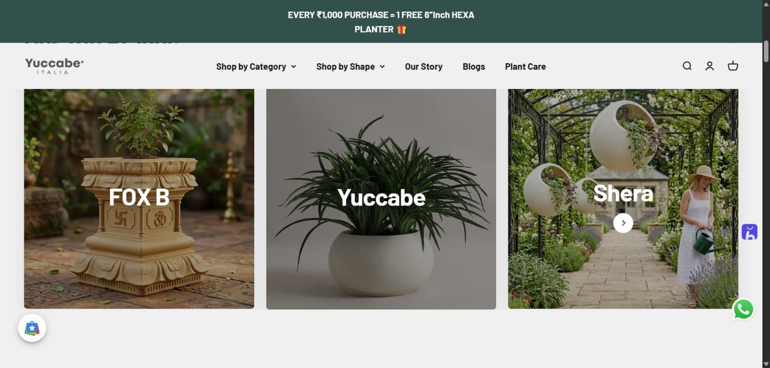 Brand browsing — Fox B, Yuccabe and Shera